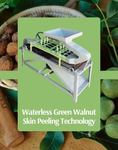 wallnut peeling machine